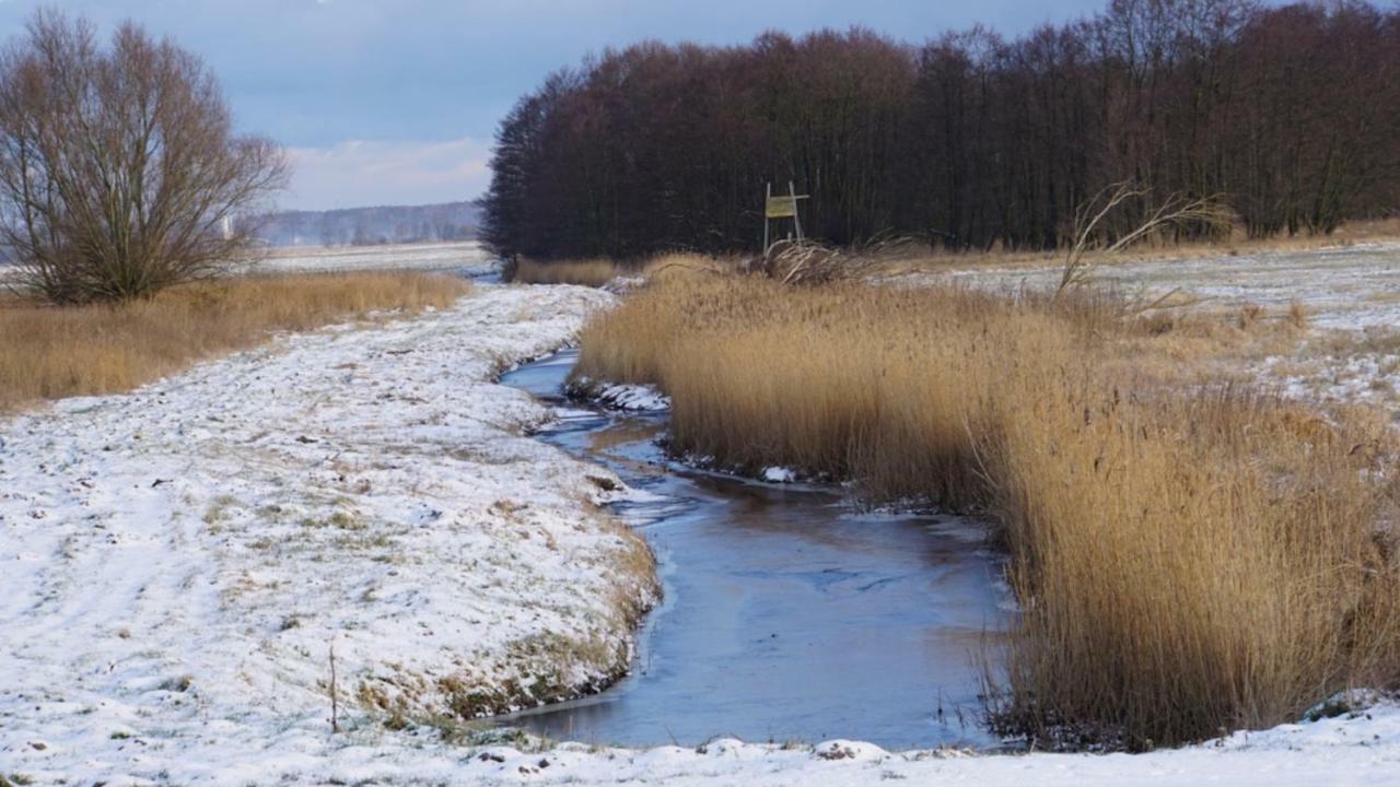 Fischerhus In Krummin - Nur Fuer Urlauber Eksteriør billede